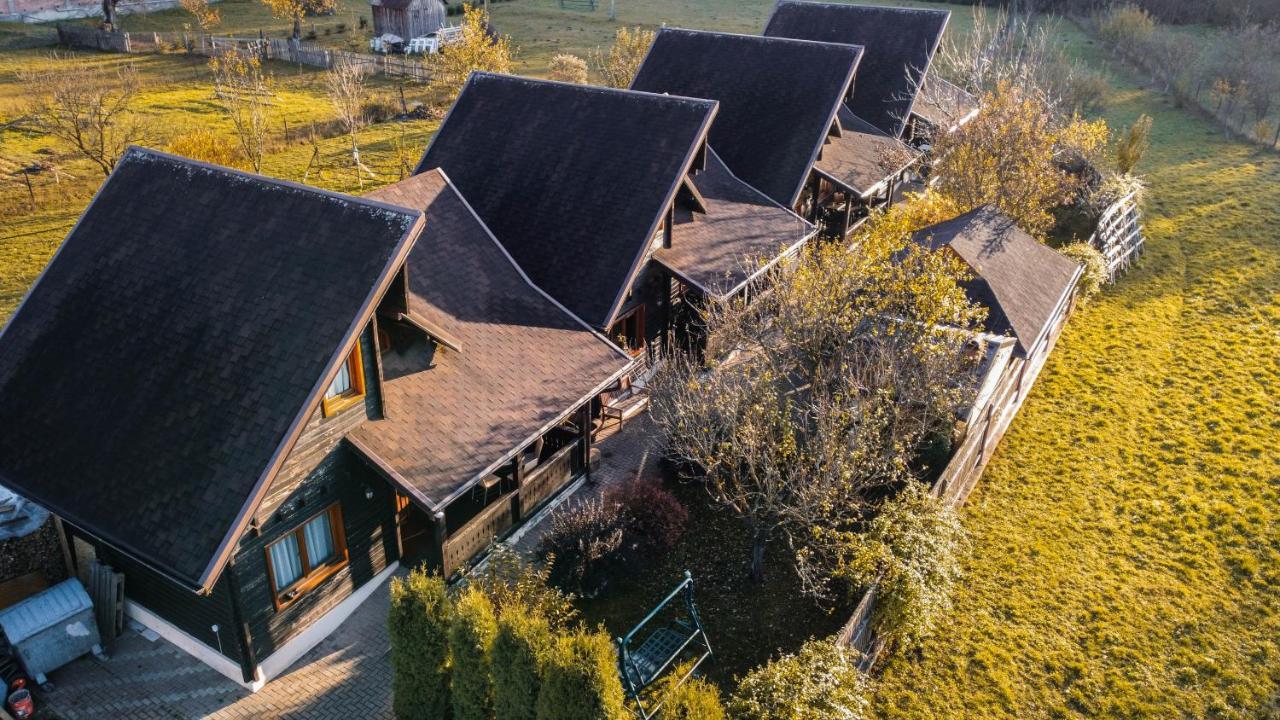 Pensiunea Galileo Borşa Dış mekan fotoğraf