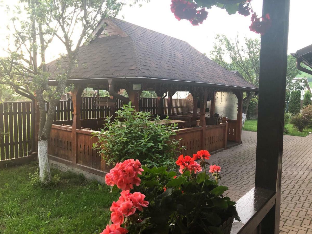 Pensiunea Galileo Borşa Dış mekan fotoğraf